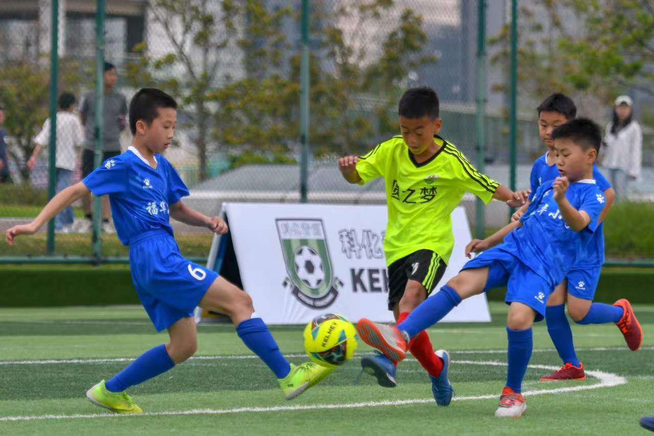 成了自由的 成了自由的