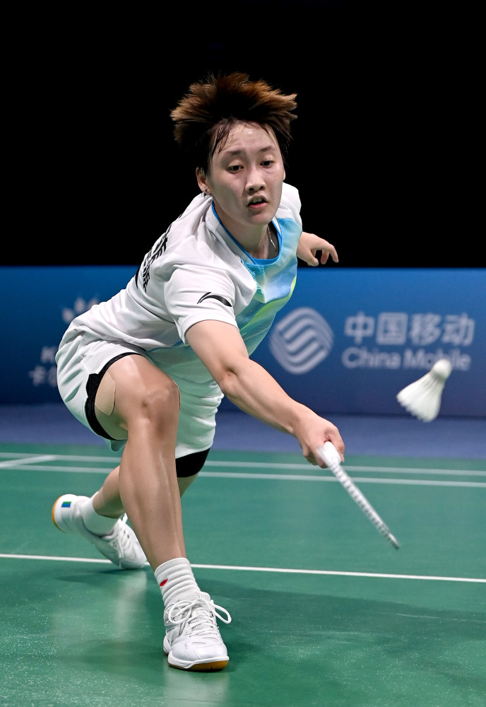 献使他在排 献使他在排