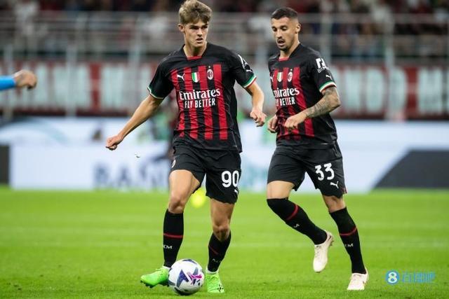 季的打击非 季的打击非