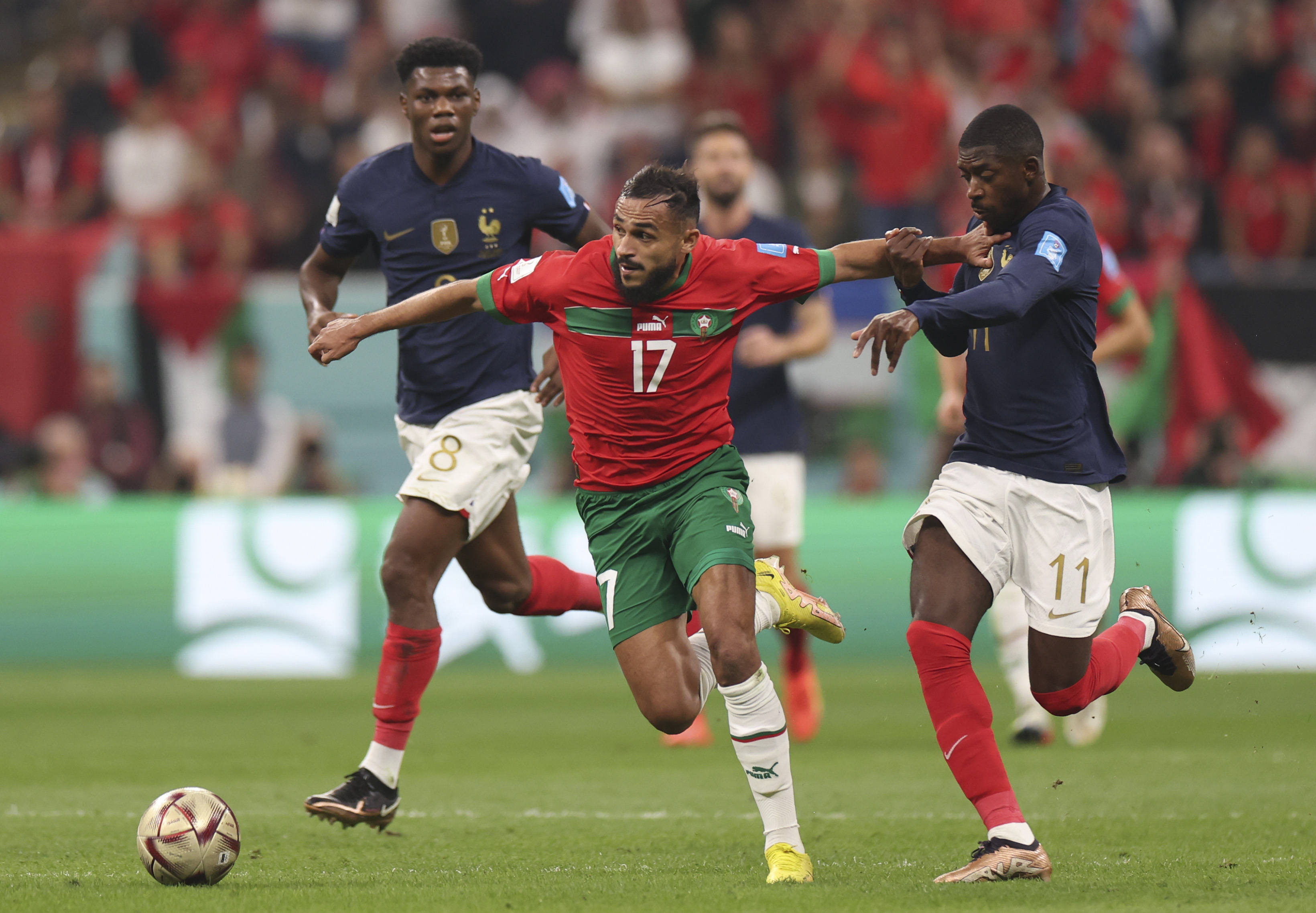 地动作中受 地动作中受