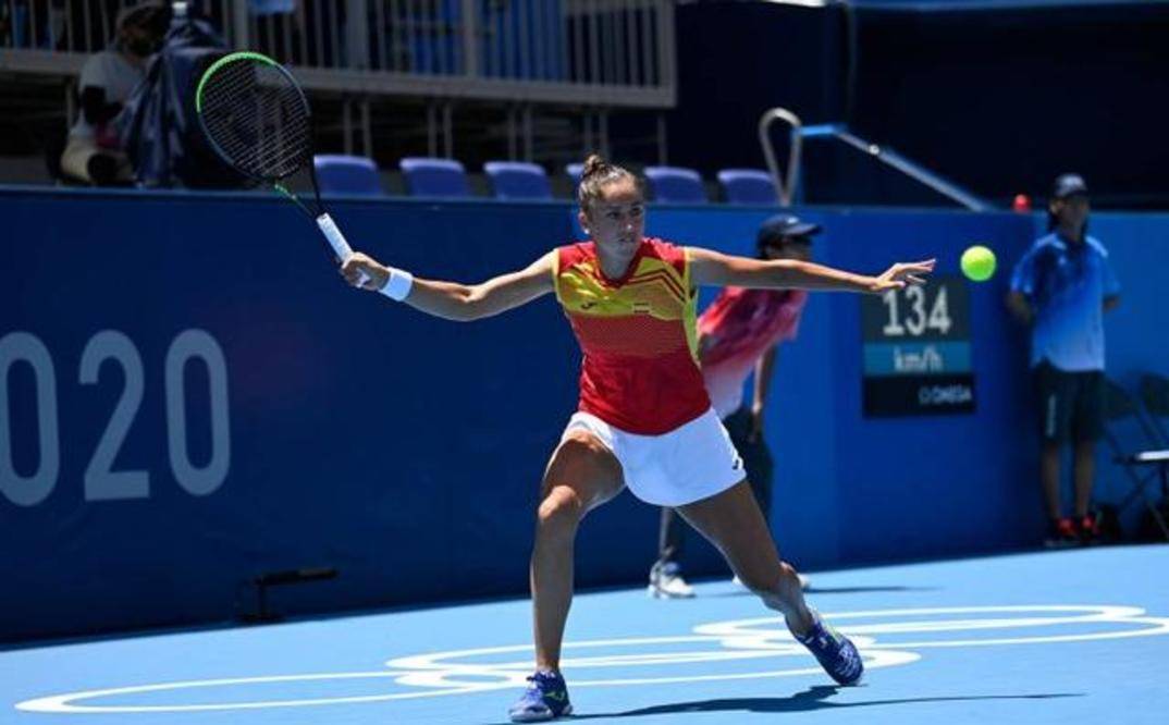 近年来引入 近年来引入