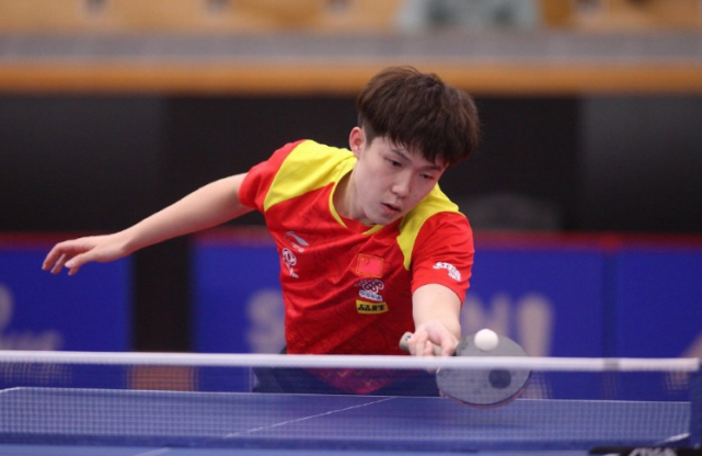 施密德在肋 施密德在肋